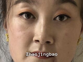 Zhaojingbao