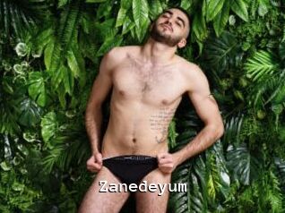 Zanedeyum